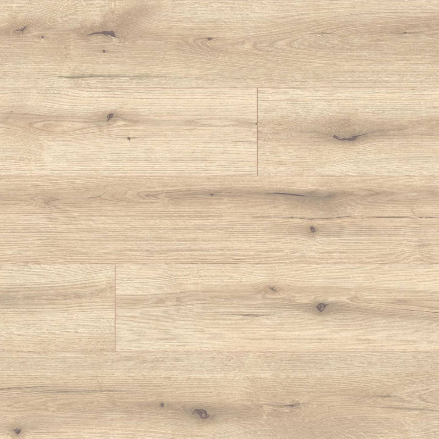 Kaindl K2205 Oak Evoke Vanilla