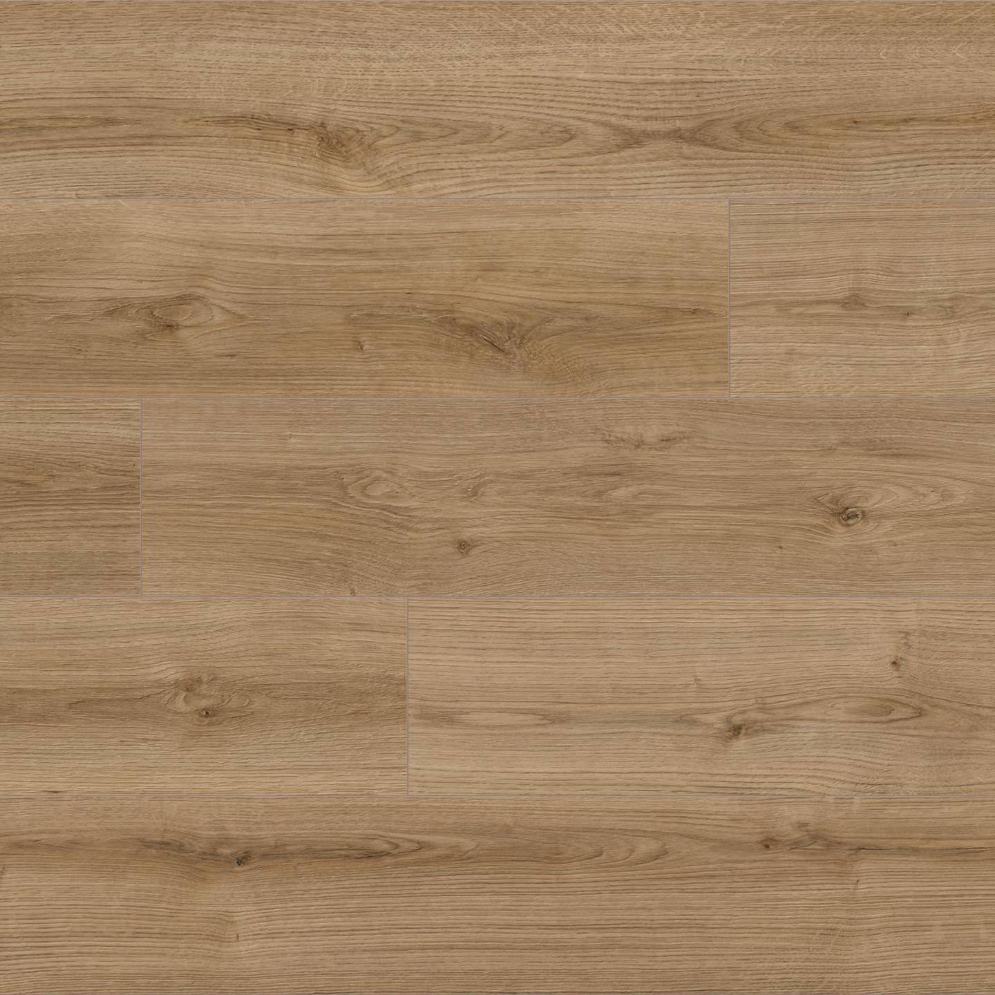 Kaindl K4421 Oak Evoke Trend