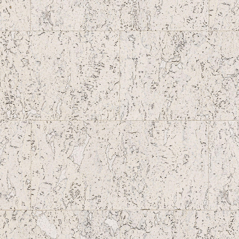 Fiord Exclusive RY19002
